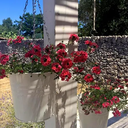 Masseria Trulli&Stelle B&B Noci Exterior photo