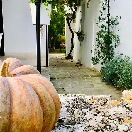 Masseria Trulli&Stelle B&B Noci Exterior photo