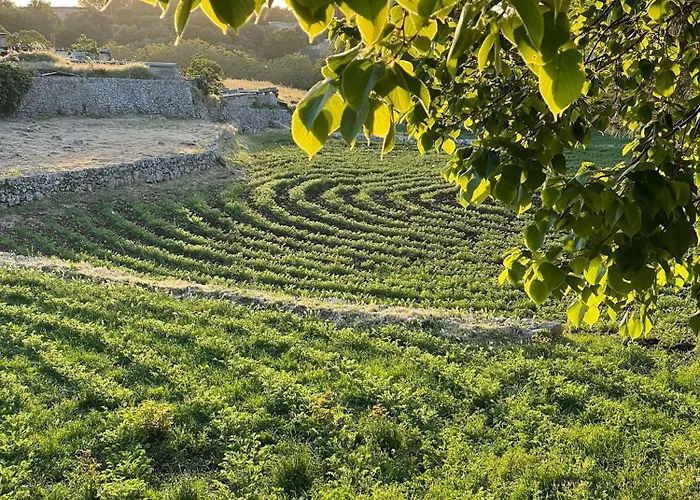 Masseria Trulli&Stelle B&B