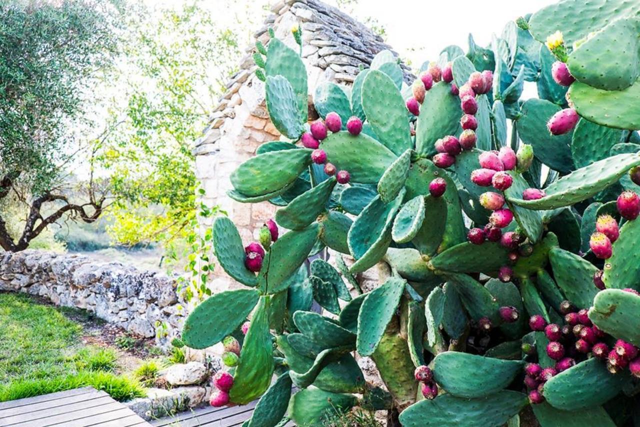Masseria Trulli&stelle Casa rural Noci