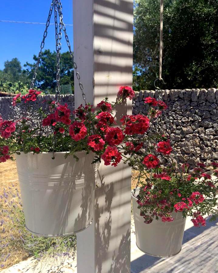 Landhuis Masseria Trulli&stelle *