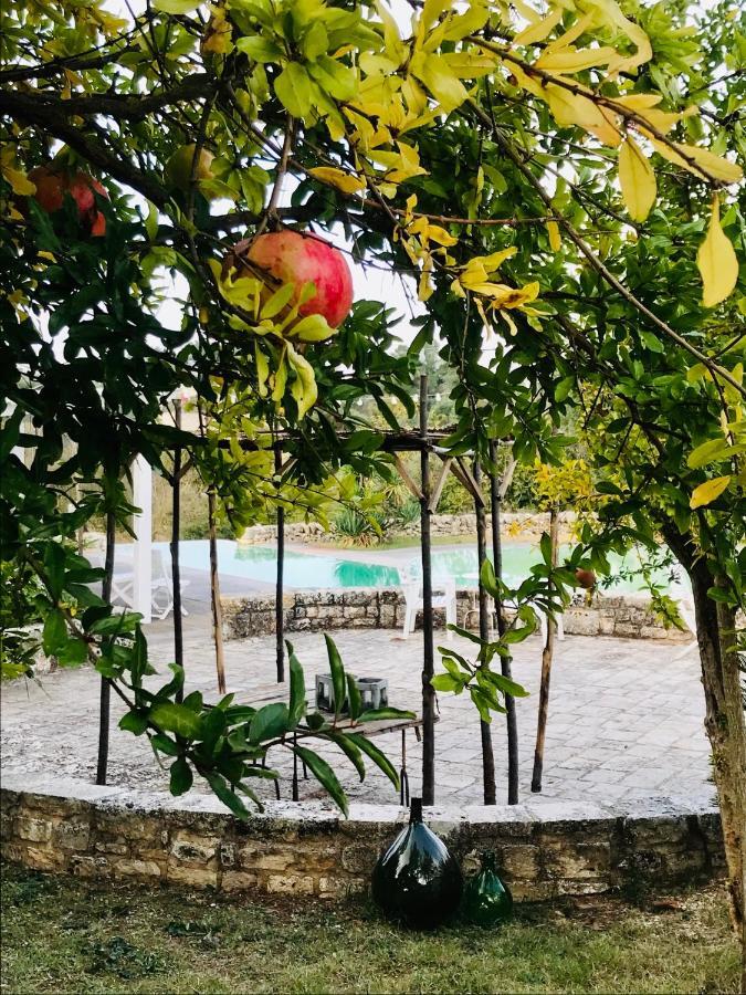 Casa rural Masseria Trulli&stelle Noci